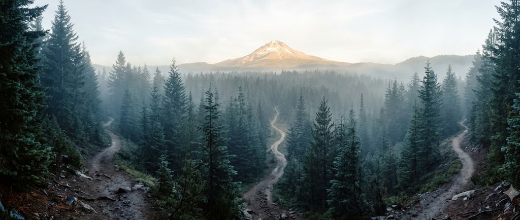 Three dirt trails wind through a misty evergreen forest toward a snow-capped mountain catching the first pink light of morning.
