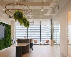 A bright, empty modern office with pale wood floors, a living plant wall, a hanging ring of greenery and chairs by tall windows.